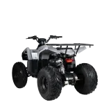 RA5 4X2 Benzinli ATV