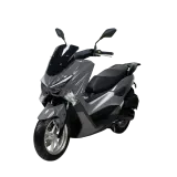RSX5 Benzinli Motosiklet