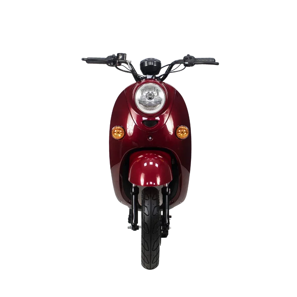 VS2 Elektrikli Motosiklet